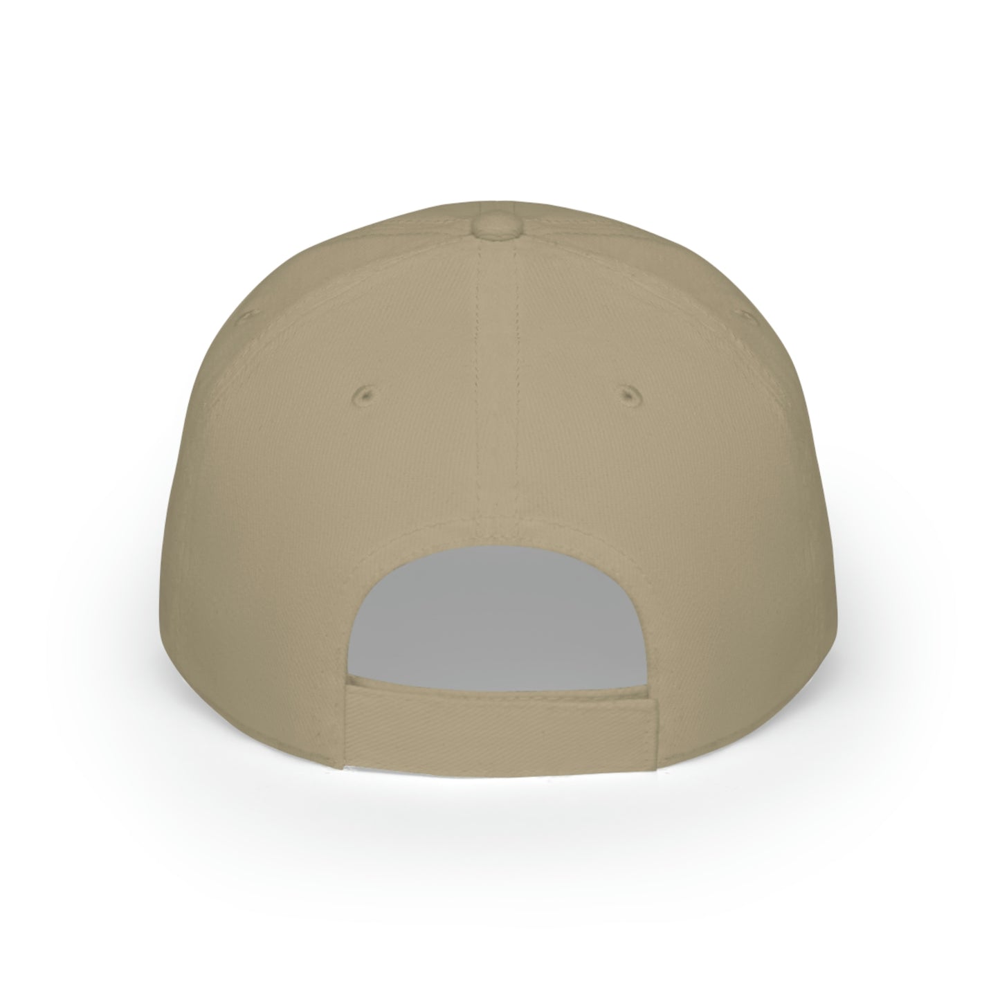 Everything Is Broken Low Profile Cap